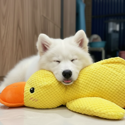 Pato Calmante Anti-Ansiedad para Perros™
